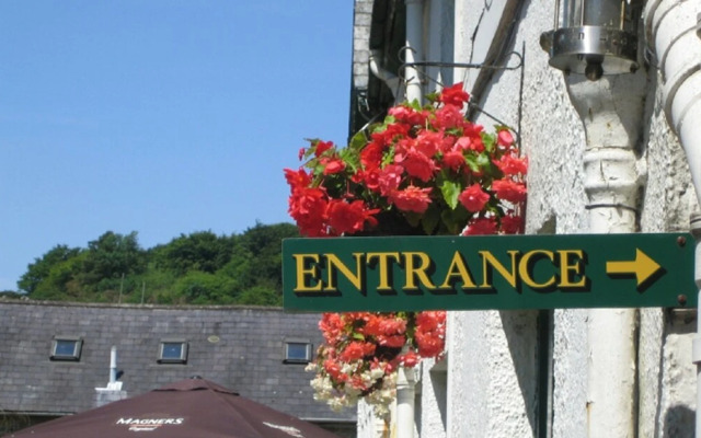 The Forest Inn Dartmoor