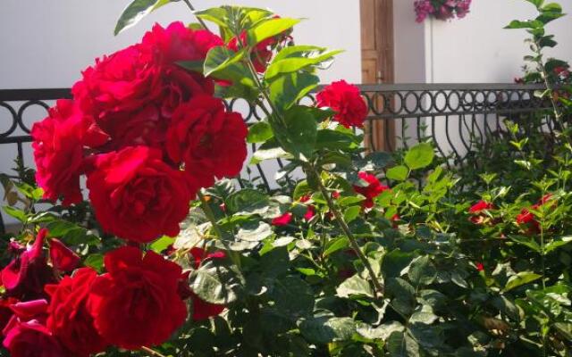 Kirlangic Pansiyon Sigacik