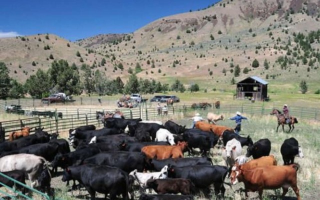 Wilson Ranches Retreat