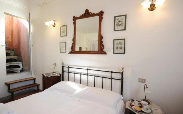 Acacia Firenze - Cosmea