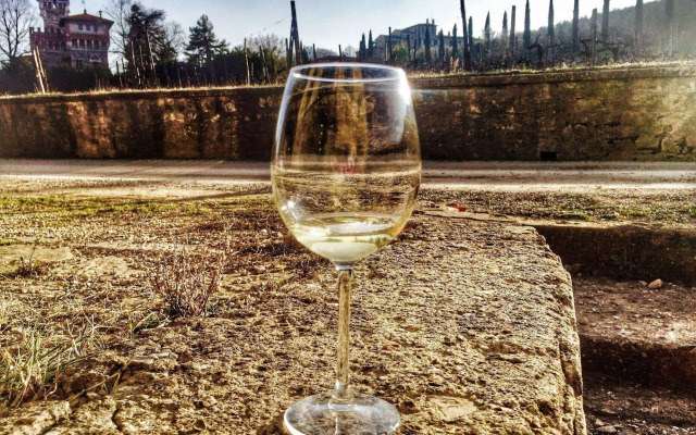 Agriturismo Tenuta Lupinari