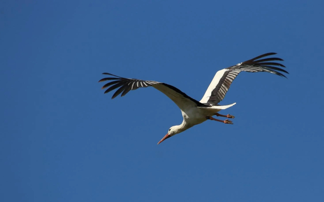 Ferienwohnung Drommeljan