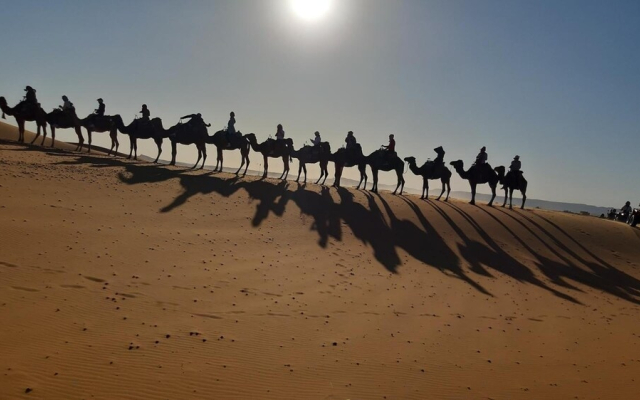 Camp Under Stars - Adults Only