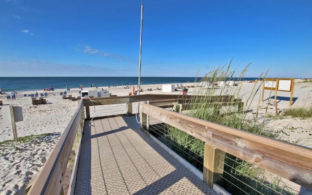 Phoenix V1008 by Youngs Suncoast