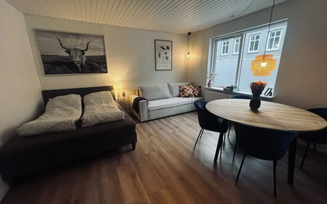 Cozy Flats Silkeborg - S2
