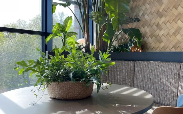 Cocoon Theresienwiese