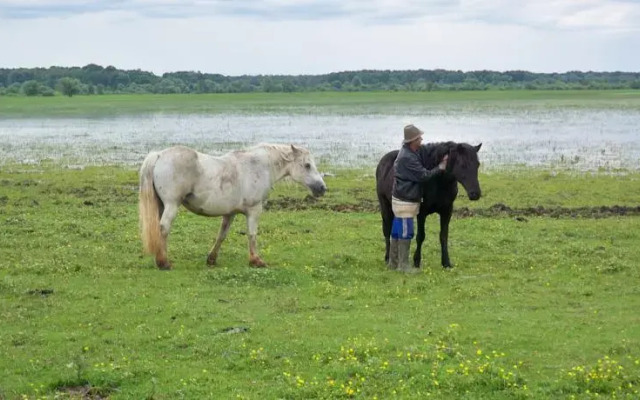 Eco Farm Veselić