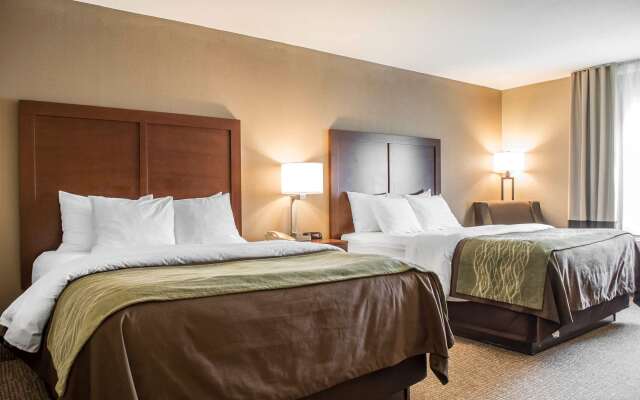 Comfort Inn Edinburg South