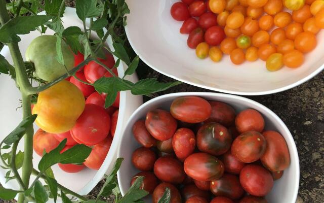 ibis Strasbourg Sud La Vigie