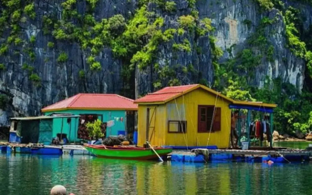 Verdure Lotus Classic Cruise on Lan Ha Bay