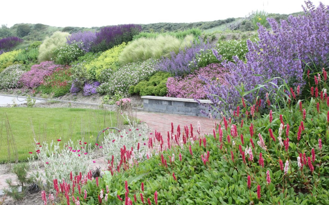Duinvilla Aan de Zee B&B
