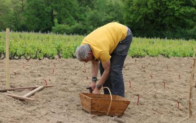 Les Glycines - Domaine Gilles Coperet