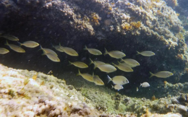 Appartamenti La Quiete