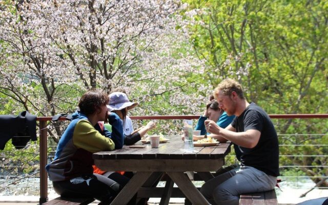 Alpine Lodge - Hostel