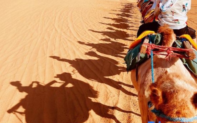 Zhongwei  Nomad Time Desert Camp Homestay – Entertainment – Zhongwei