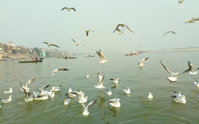 Vandana Residency