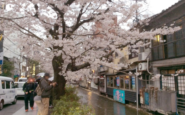(Closed) Kyoto Happy Family