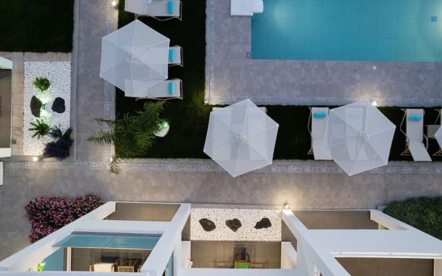 Coconut Palm Paradise