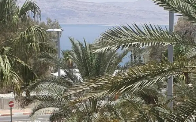 Tzimer Lana