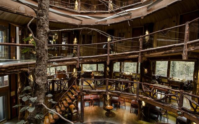Huilo Huilo Nothofagus Hotel & Spa