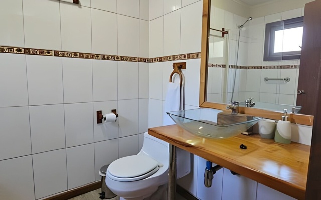 Oceana Suites Corralco