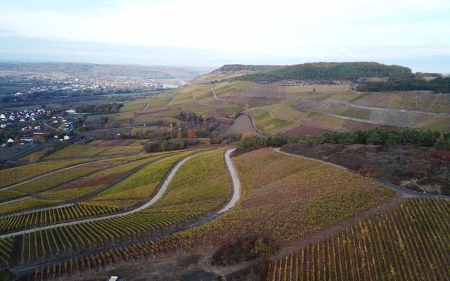 Pension Weingut Schwab