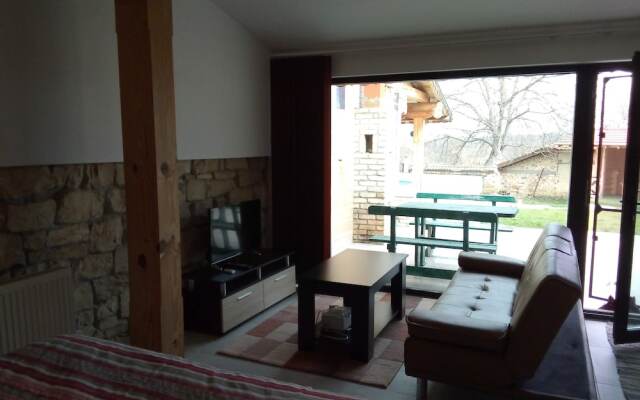 Room-studio Apartment in Palamartsa