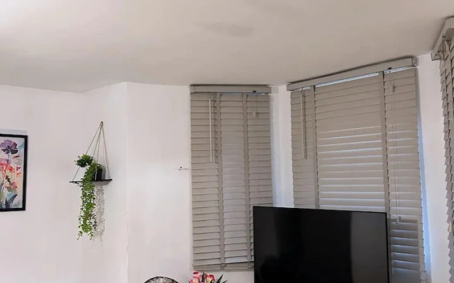 Cozy London Apartment - Central Location