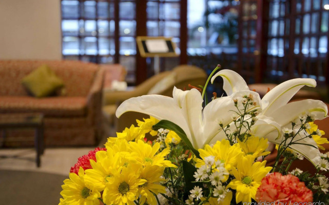 The Executive Hotel