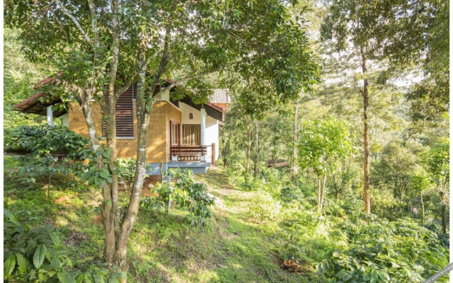 Vythiri Mist Resort