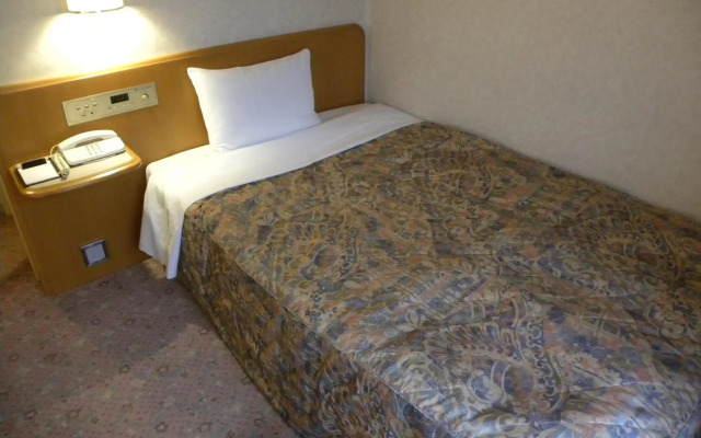 Hotel New Green Okachimachi