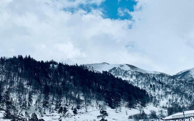 Comfortable Apartment near Didveli