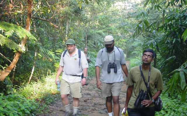 Explorer by Eco team - Sinharaja