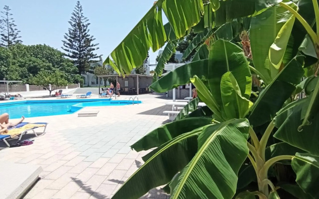 Summer Dream Hotel