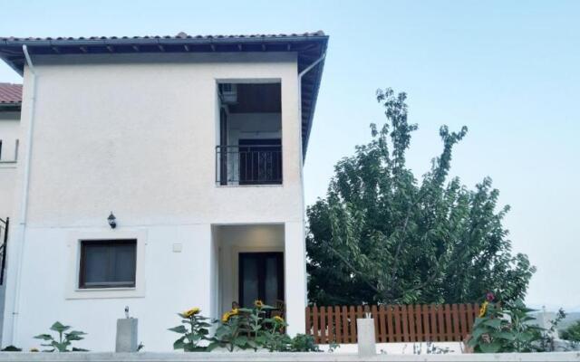 Green View Apartment