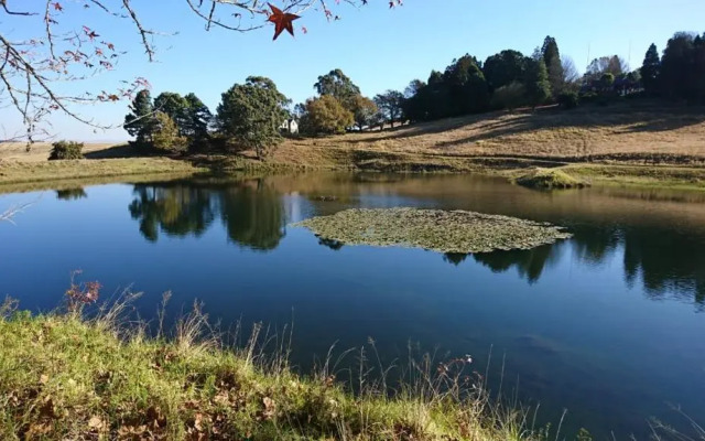The Courtyard at La Loggia