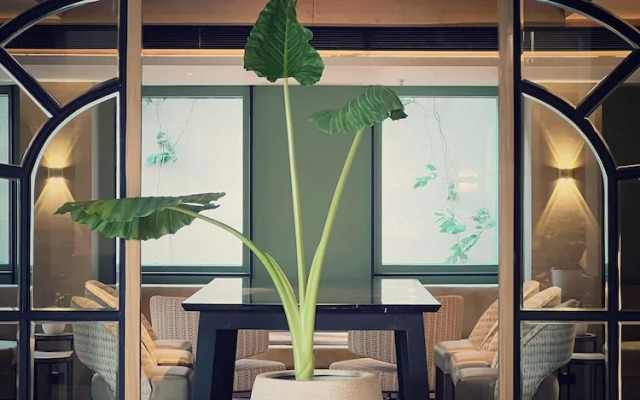 Hyatt Place Vijayawada
