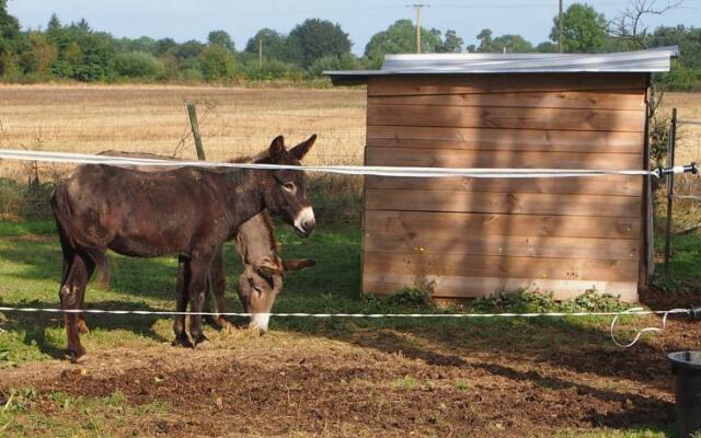 B&B Wide Horizon Farm DCouleurs