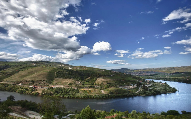 Delfim Douro Hotel