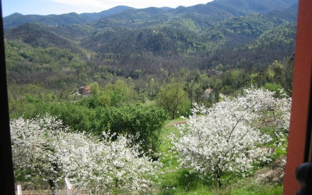 Agriturismo Casalino