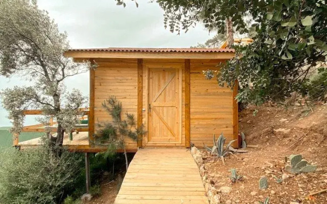 Shambala Lodge Hotel