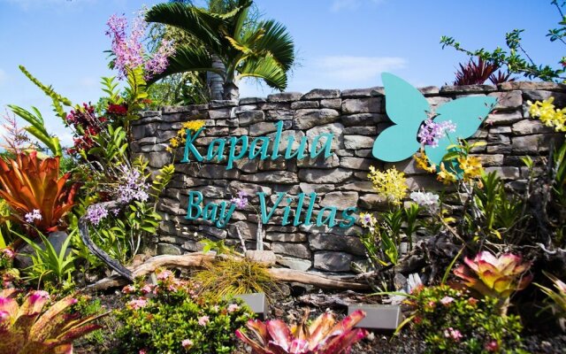Kapalua Bay Villas 30G1 - One Bedroom Condo