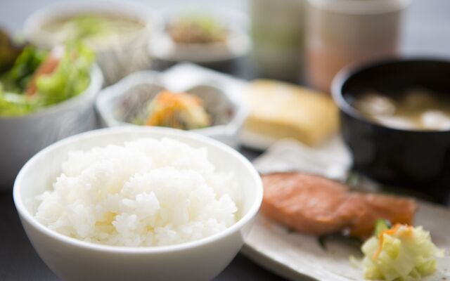 Shin Osaka Station Hotel Annex