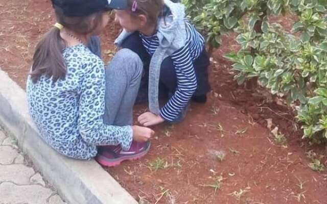 Karolinas Homestay Near JKIA