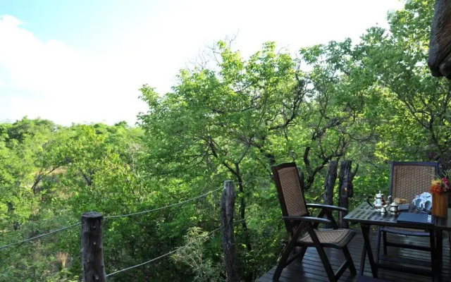 Wild & Free Game Lodge