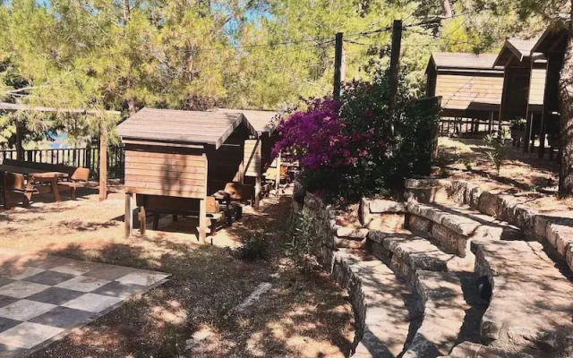 Teras Orhaniye