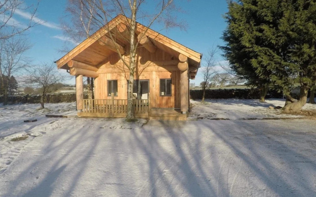 Braisty Woods - Knotty & Nice