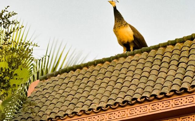 Guest House Qodwa
