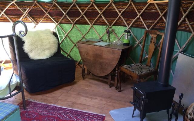 Rowan Yurt - Campsite