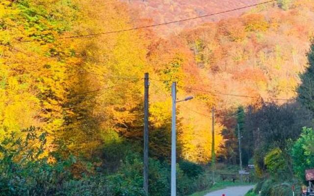 Fairytale Chalet House